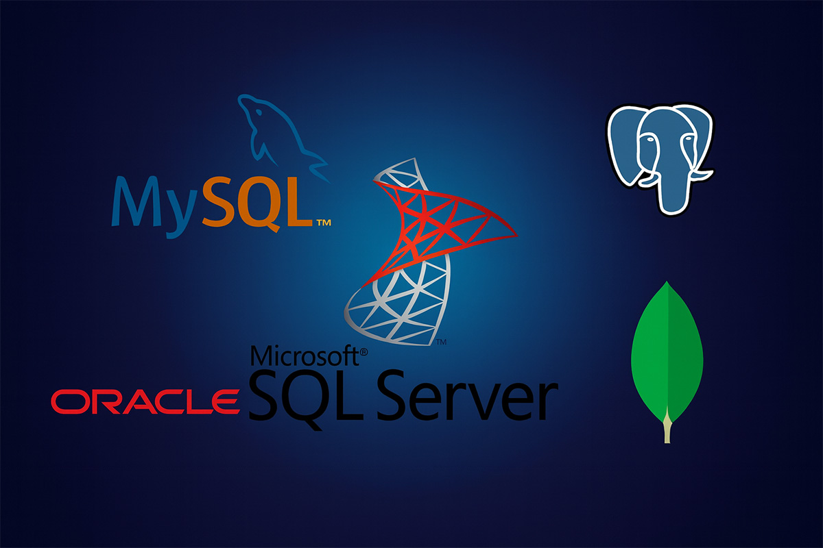 Amministrazione database